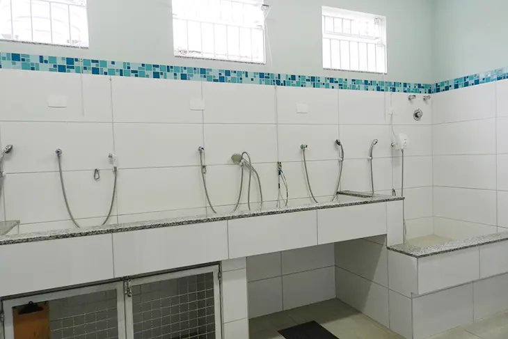 Banho e tosa Clínica veterinária 24h Petzfera