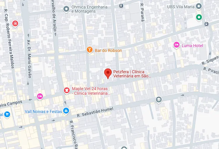 Mapa google Clínica Petzfera
