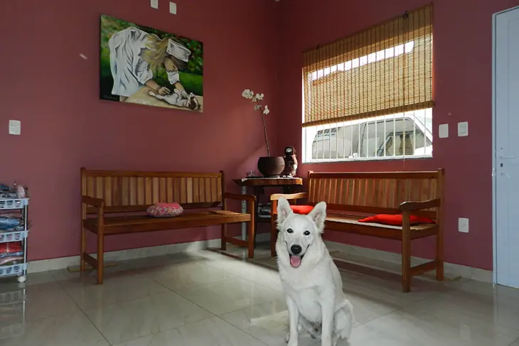 Recepção Clínica veterinária 24h Petzfera