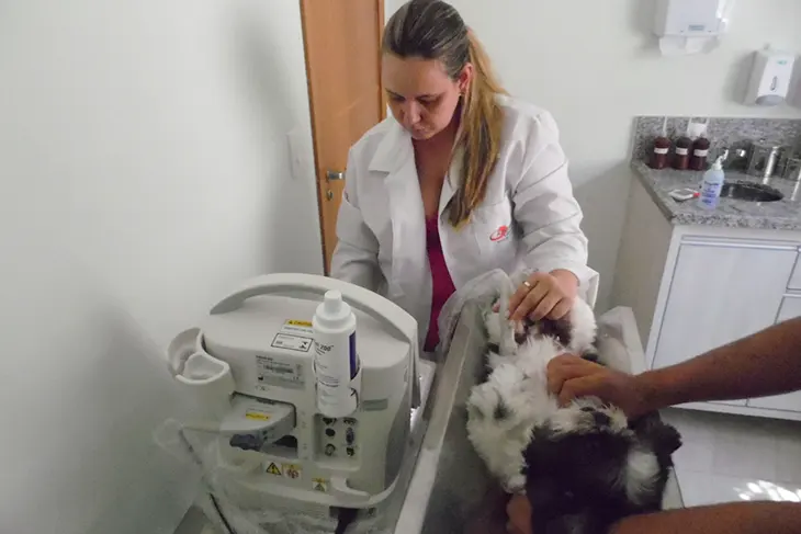 Ultrassom Clínica veterinária 24h Petzfera